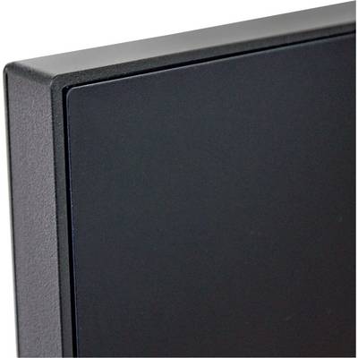Hannspree HP248UJB LED EEC D (A - G) 60.5 cm (23.8 inch) 1920 x 1080 p 16:9 4 ms HDMI™, DisplayPort, VGA, USB A (USB 3.2-4
