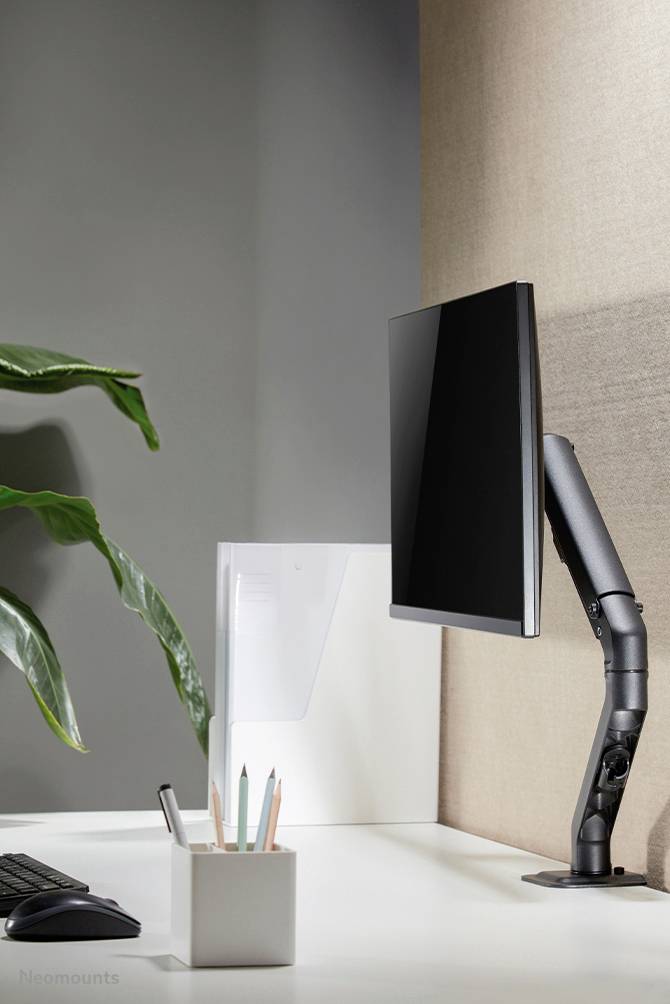 A tidy desk with a monitor on an adjustable arm, a keyboard, a plant leaf, and a pen holder.
