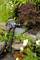 Pond pump with black hoses and control elements, positioned on a rock amidst lush, green vegetation.