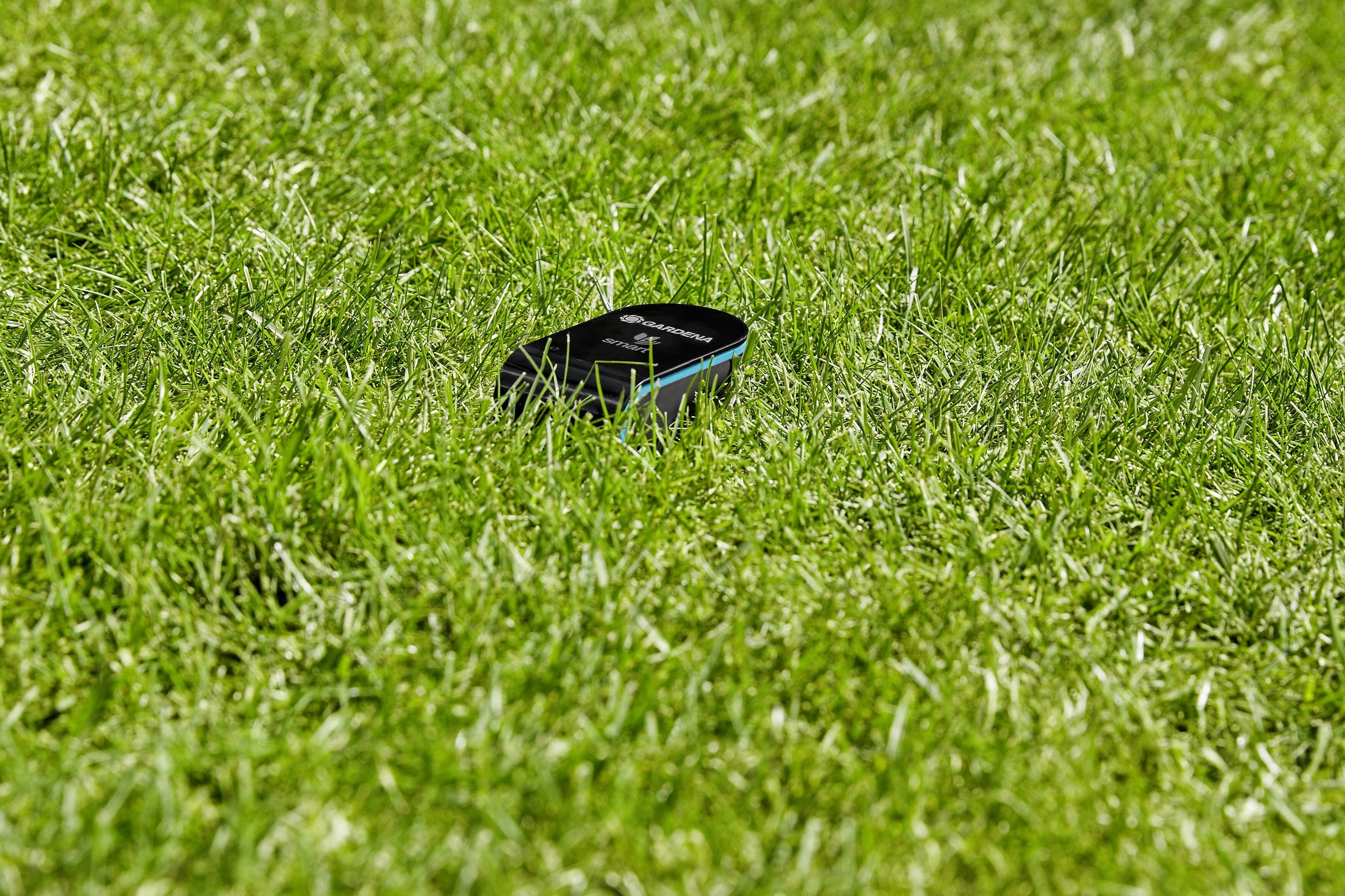 A black lawn sensor lies in the green grass.