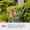 A woman is trimming hedges with hedge trimmers in the garden. Text: 'POWER FOR ALL battery system' for over 70 tools from Alliance brands.