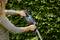 A person is using hedge trimmers to trim a green bush. The hedge trimmers have a black casing with blue accents.