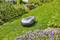 A robotic lawnmower is cutting a green lawn in a garden, surrounded by shrubs and flowers.