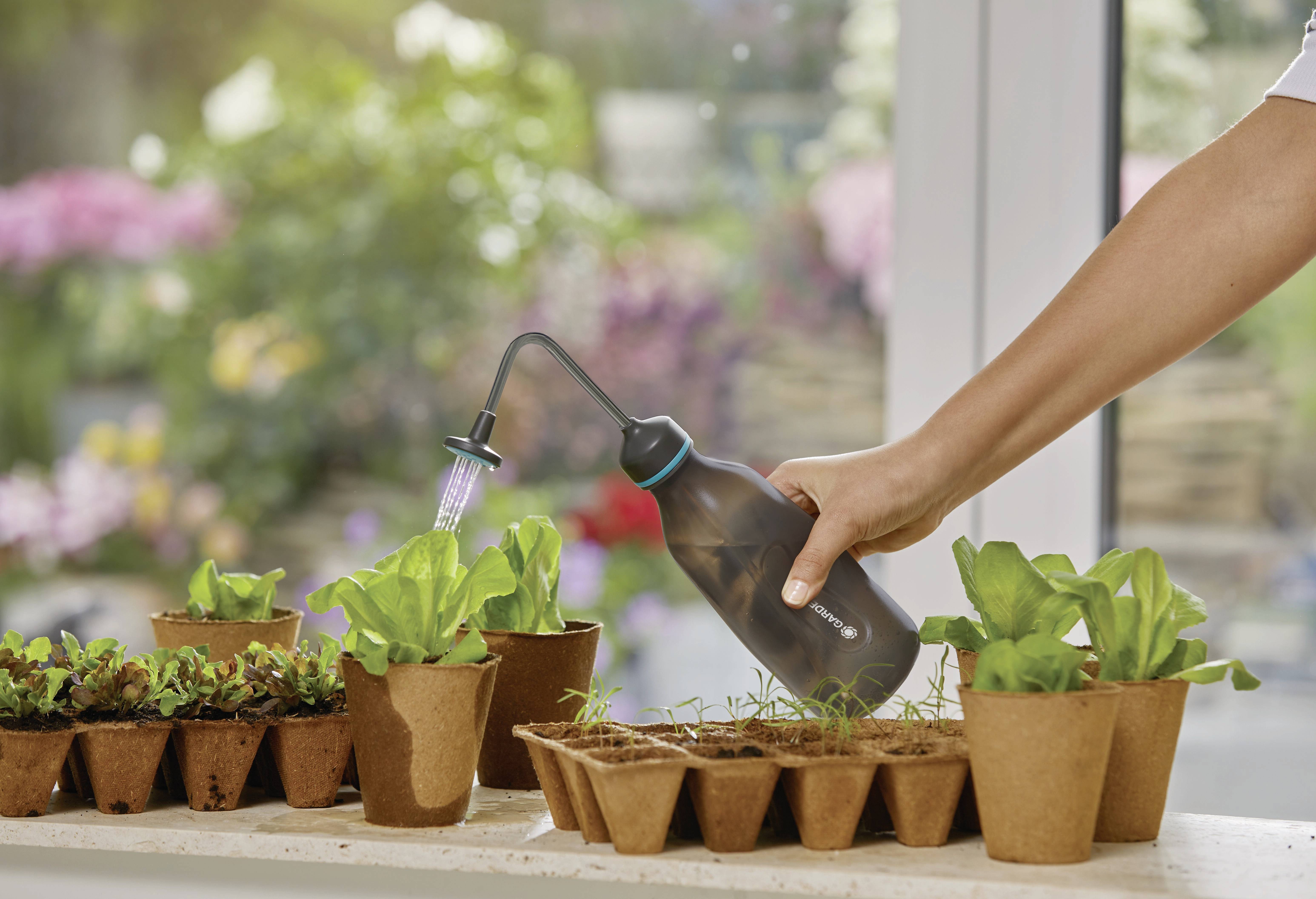 A hand holds a watering can and waters small plants in pots on a windowsill. Flowers are blooming in the background.