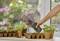 A hand holds a watering can and waters small plants in pots on a windowsill. Flowers are blooming in the background.