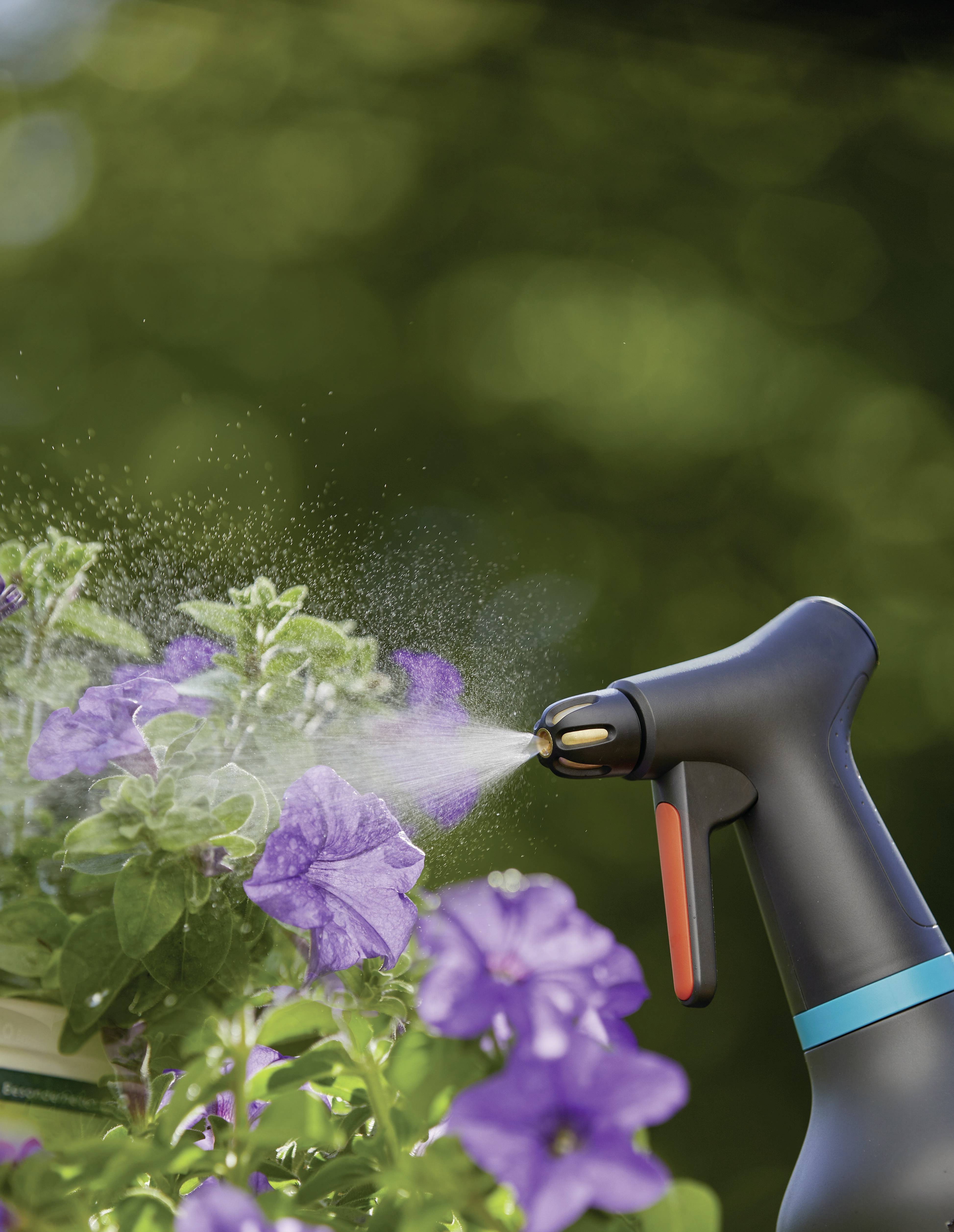 A person is spraying water onto purple flowers with a spray bottle in the garden.