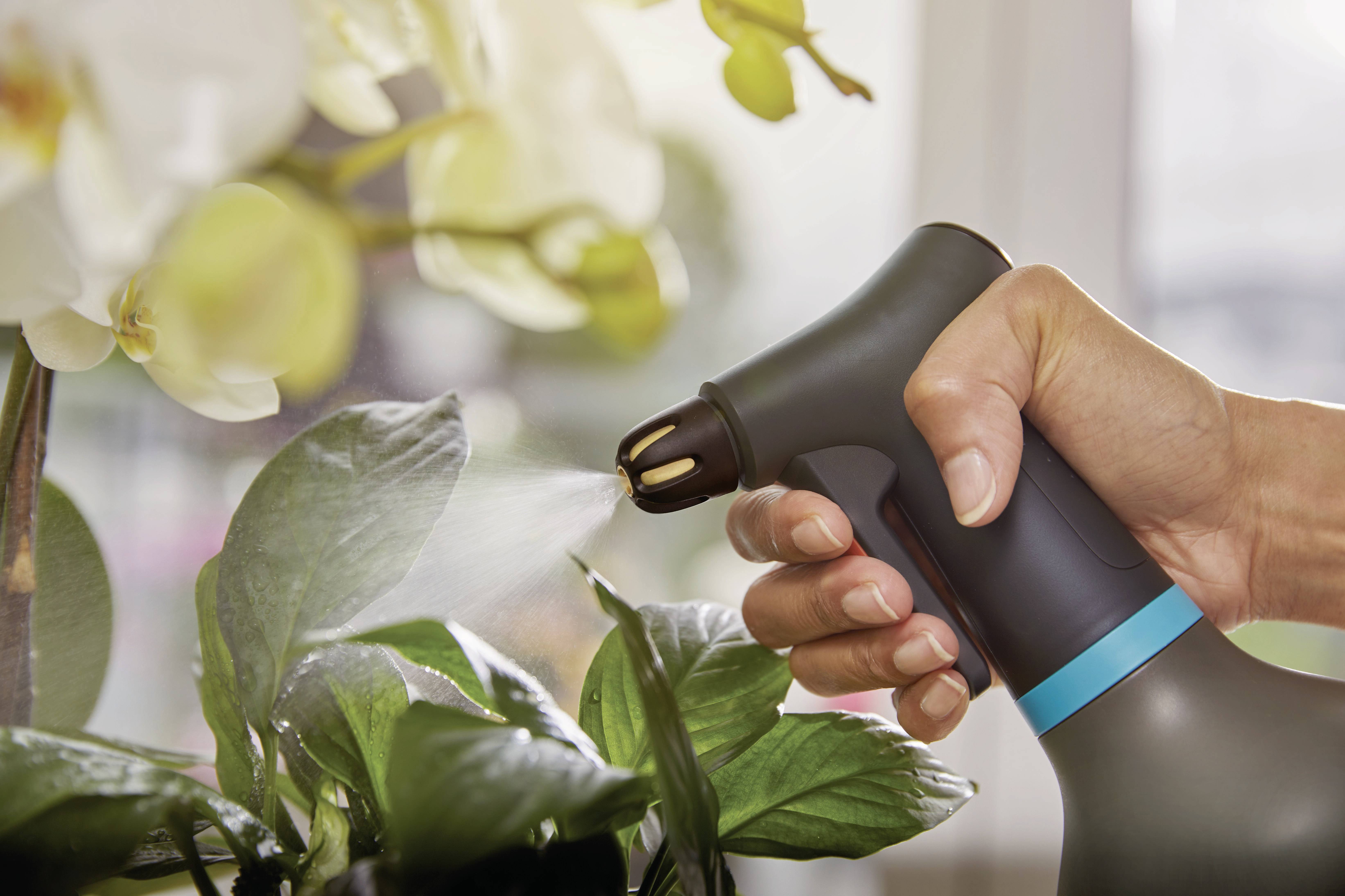 A hand sprays plant leaves with a spray bottle to moisten them. Orchid flowers are blurred in the background.