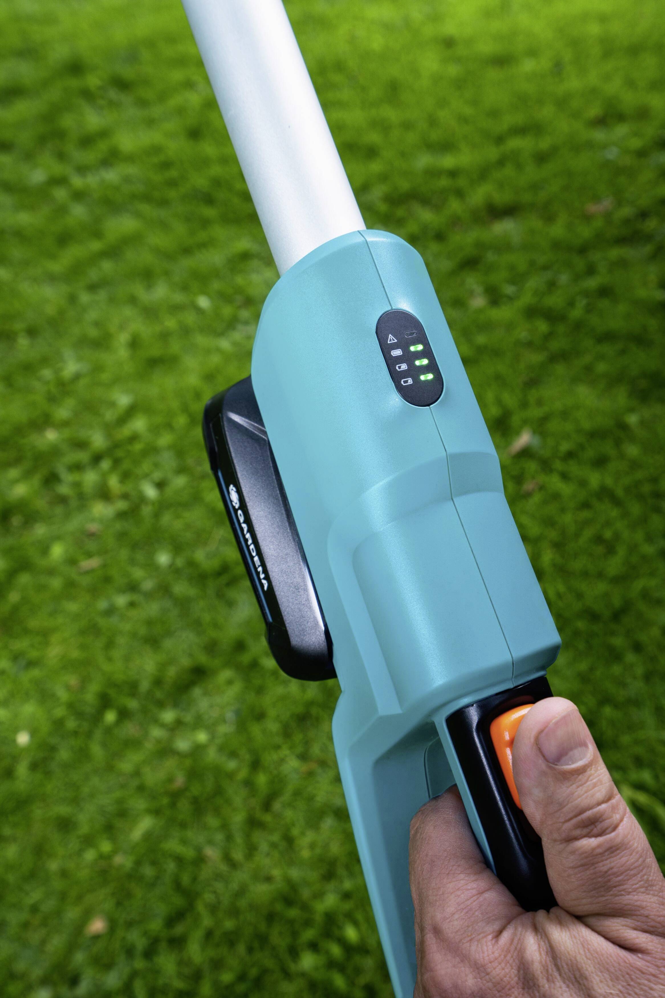 A person is holding a blue garden tool with a long handle. Green grass is visible in the background.