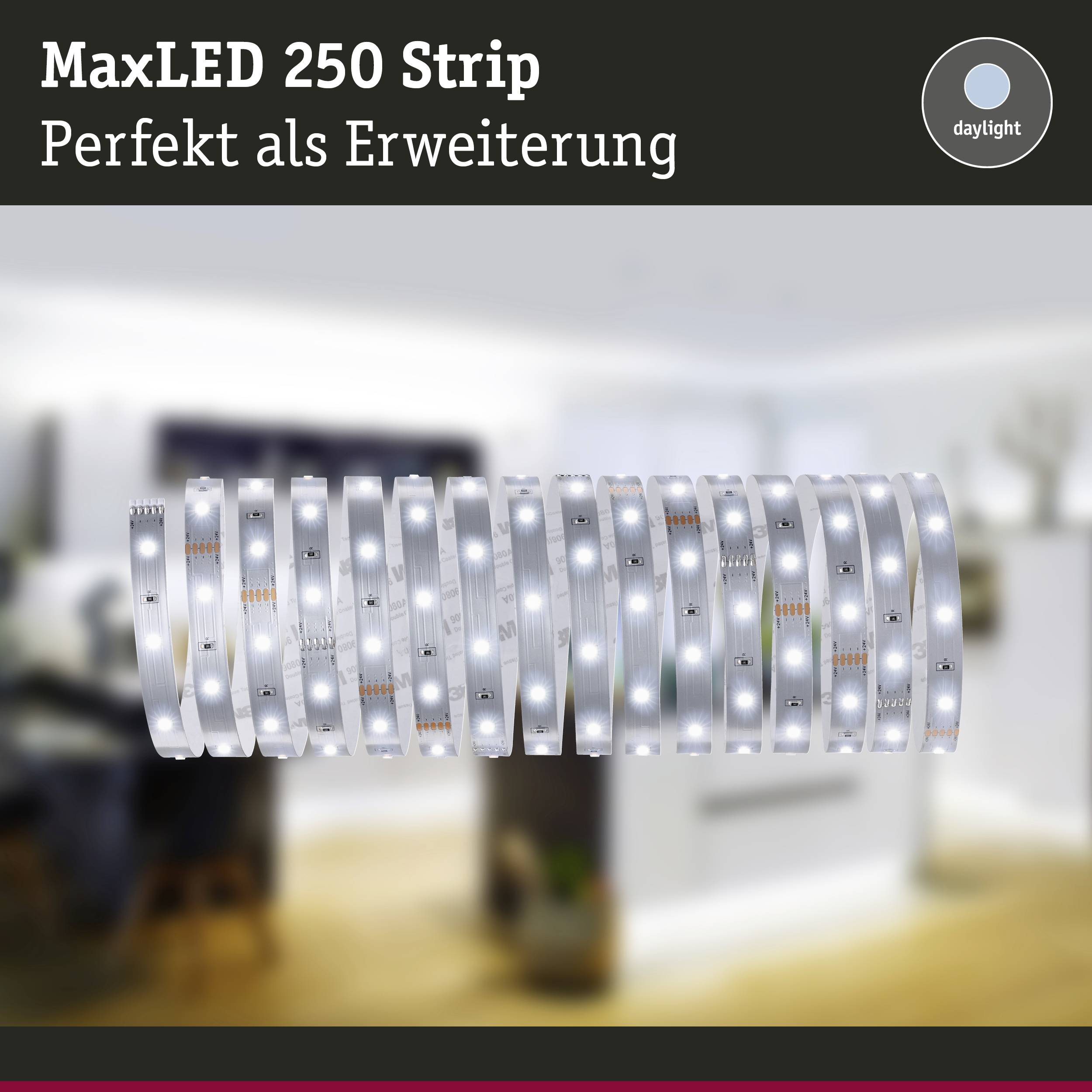 Illuminated LED strip in front of blurred living space background, text 'MaxLED 250 Strip - Perfect as an Extension', icon 'daylight'.