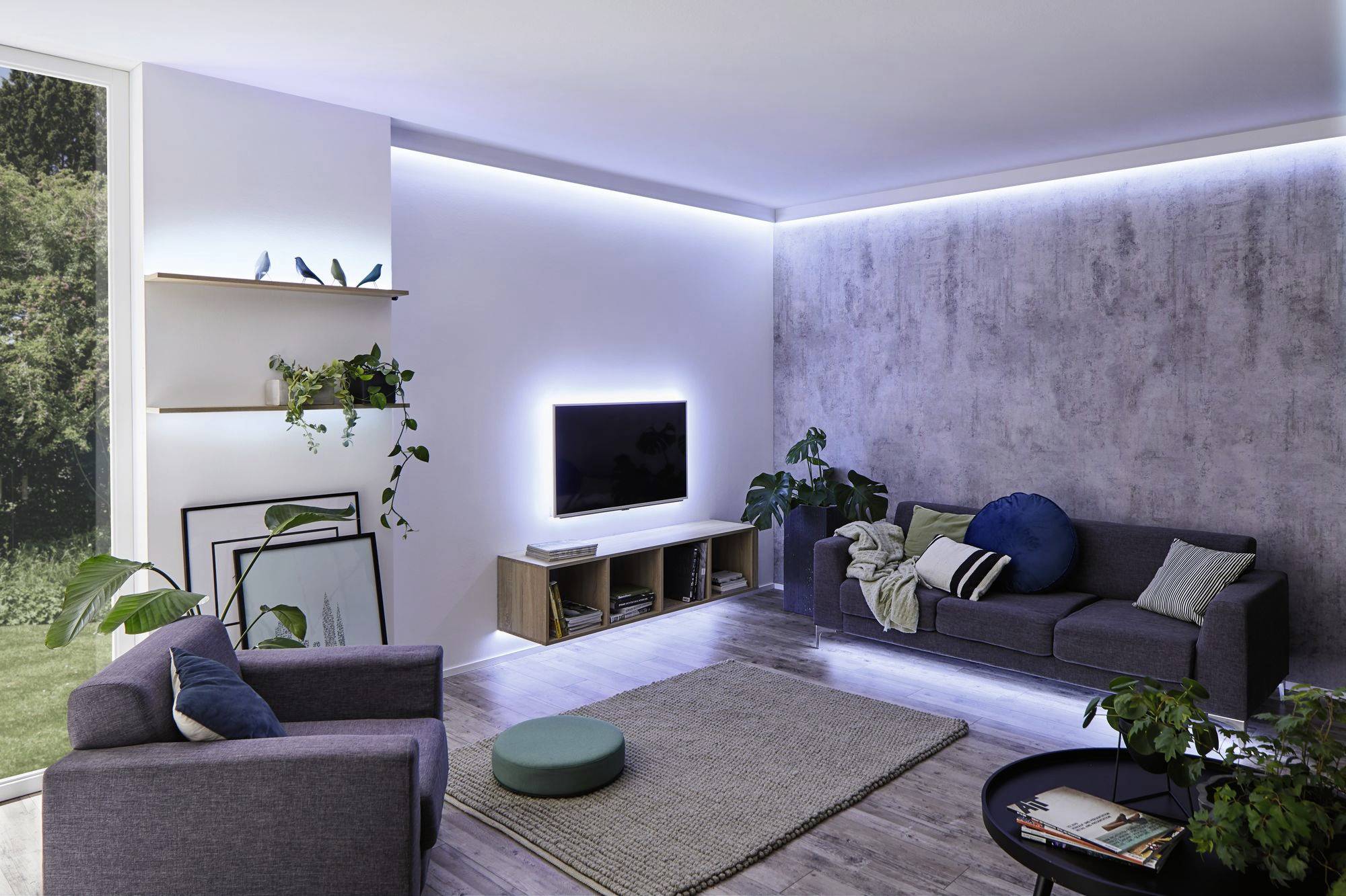 Modern living room with a grey sofa, armchair, rug, plants and a flat-screen television mounted on the wall. Bright daylight from a large window.