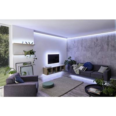Modern living room with a grey sofa, armchair, rug, plants and a flat-screen television mounted on the wall. Bright daylight from a large window.