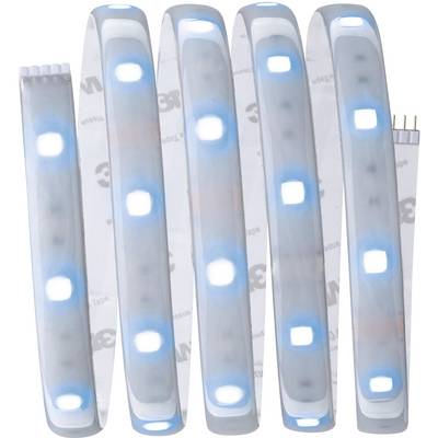 A rolled-up LED light strip with blue and white illumination elements on a transparent carrier.