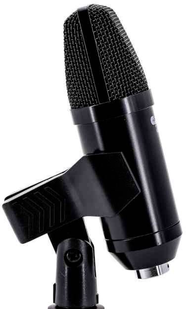 Black microphone on a stand with a mesh basket, suitable for professional audio recordings.