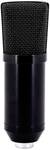 U29 USB mic