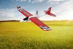 Wild Hawk 3.0 (1580) RtF