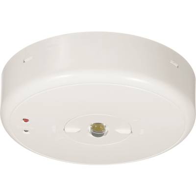 B-SAFETY BL550038 Safety light  Ceiling surface-mount 