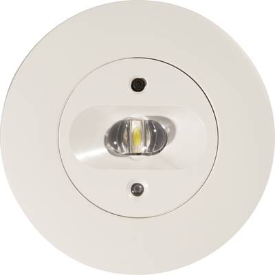 B-SAFETY BL552038 Safety light  Ceiling recess-mount 