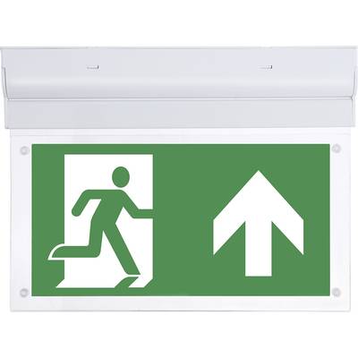 B-SAFETY BR599130 LED escape route lighting  Ceiling surface-mount Exit, Emergency exit, Right, Left