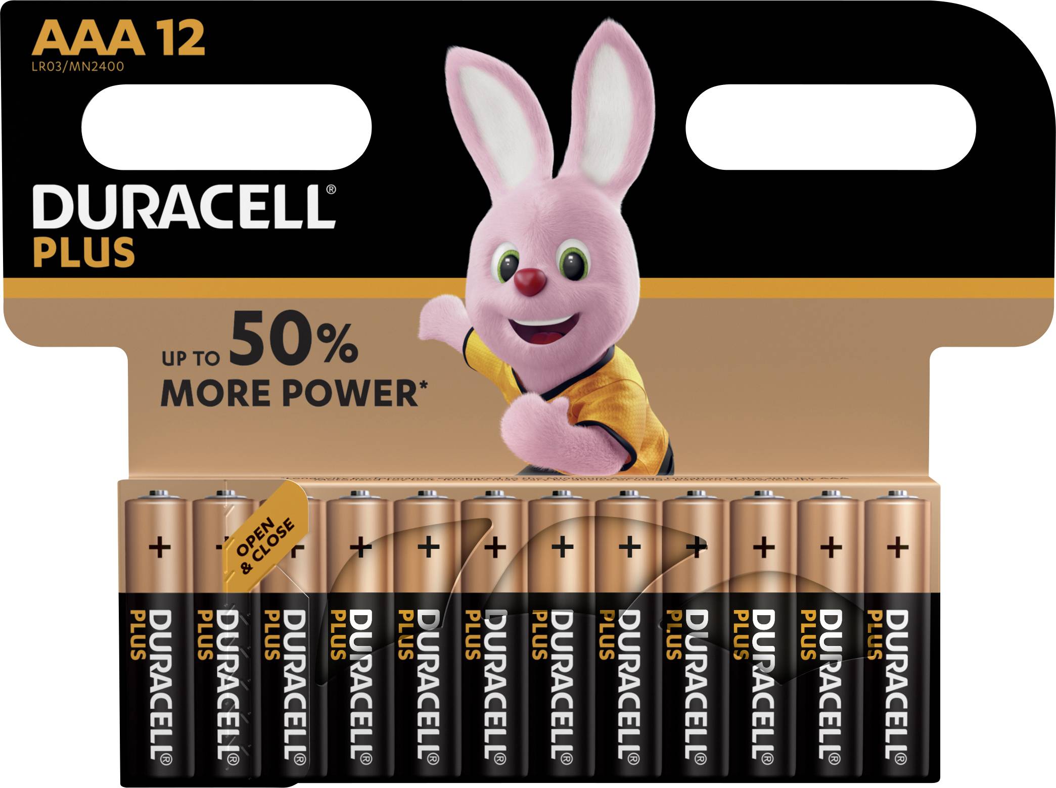 Duracell Plus Power AAA battery Alkali-manganese 1.5 V 12 pc(s)