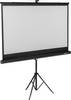 SpeaKa Professional Tripod projector screen 160 x 90 cm Image format: 16:9 SP-PST-320 SP-9430700