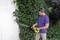 A man is trimming a hedge with an electric hedge trimmer next to a concrete wall. He is wearing a purple T-shirt and is in the garden.