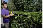Battery-operated hedge trimmer HGE 36-60 Battery