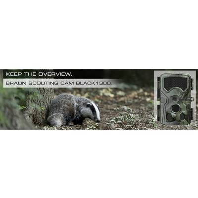 Badger in the woods next to a wildlife camera. Text: 'Stay informed. Brown Wildlife Camera Black1300.'