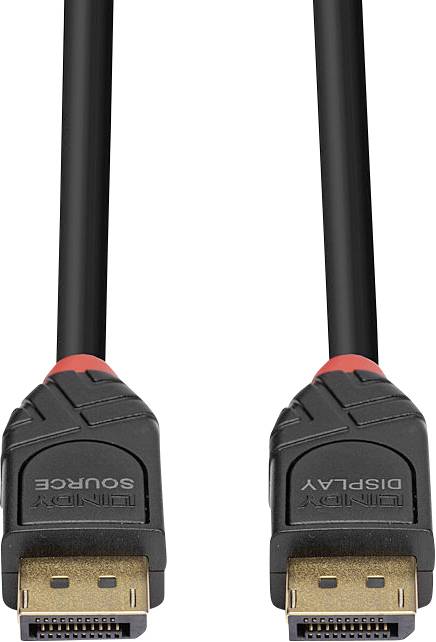 Two black DisplayPort cables with gold-coloured connectors and red accents, suitable for connecting monitors to computers.