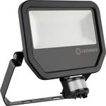 LEDVANCE floodlight FL PFM 50 W 4000 K SYM 100 S BK