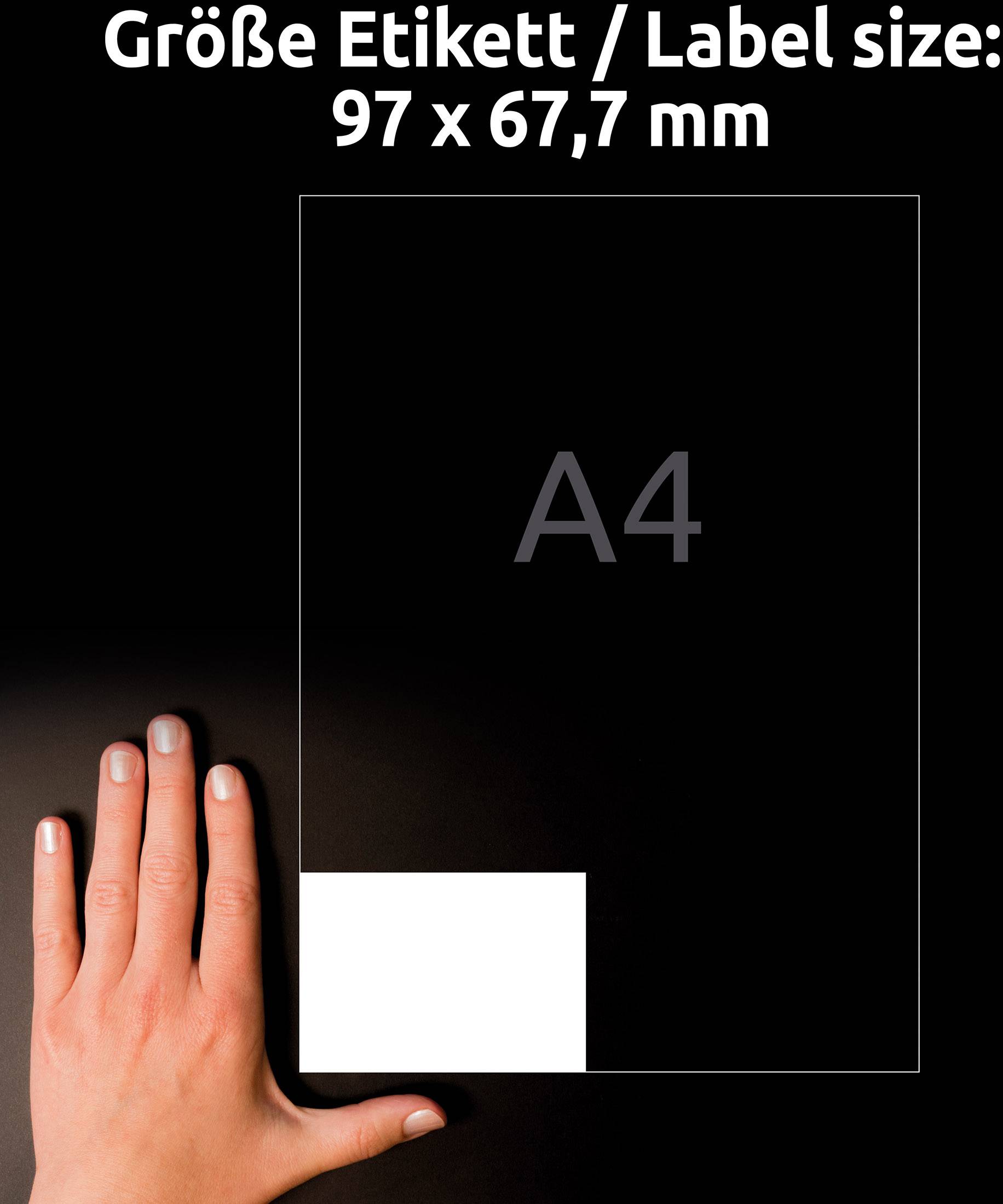 'Hand next to an A4 sheet showing the size of a label marked as 97 x 67.7 mm.'