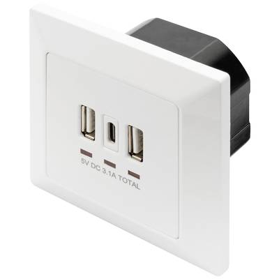 White wall socket with two USB ports, labelled '5V DC 3.1A TOTAL'.