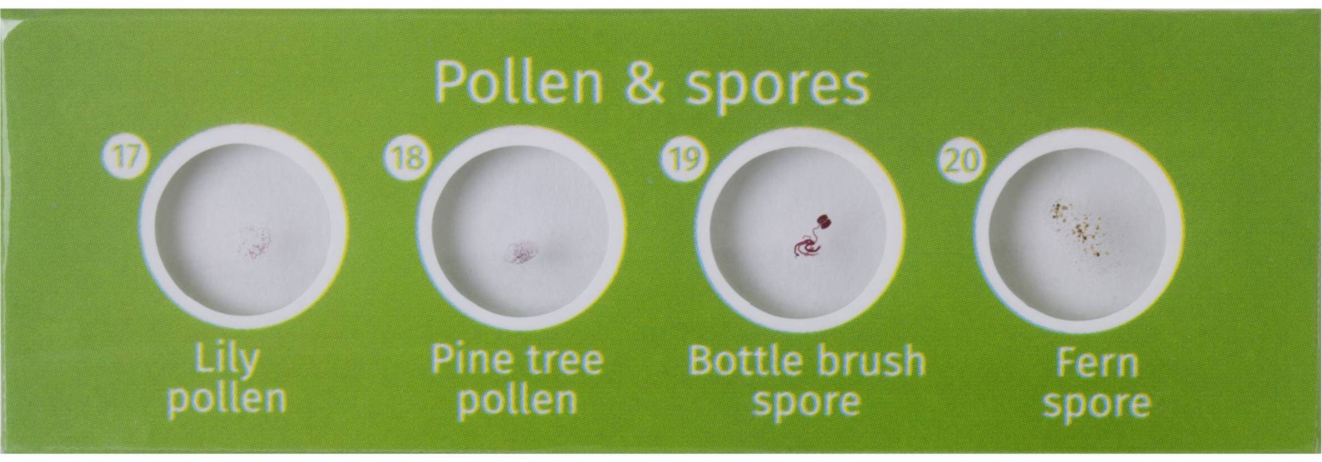 Levenhuk 72869 Microscope slide