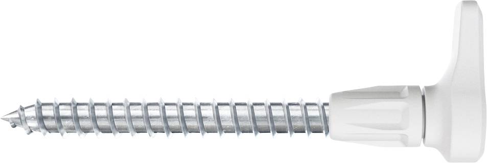 Screw with plastic head, silver-coloured threaded section, suitable for manual fastening; used in furniture or construction industries.