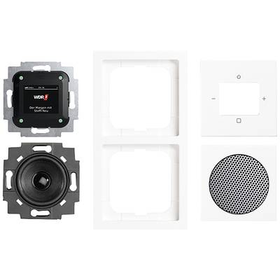 Flush-mounted Radio Set: Display module with 'Morning with Sven Preu'; speaker module; white double frame and cover with touch control panel.