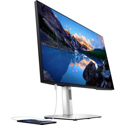 Dell U2421E LED EEC E (A - G) 61.2 cm (24.1 inch) 1920 x 1200 p 16:10 8 ms DisplayPort, HDMI™, USB C®, USB A (USB 3.2 1s-0