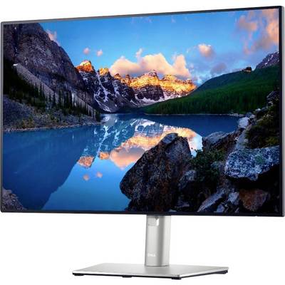 Dell U2421E LED EEC E (A - G) 61.2 cm (24.1 inch) 1920 x 1200 p 16:10 8 ms DisplayPort, HDMI™, USB C®, USB A (USB 3.2 1s-3