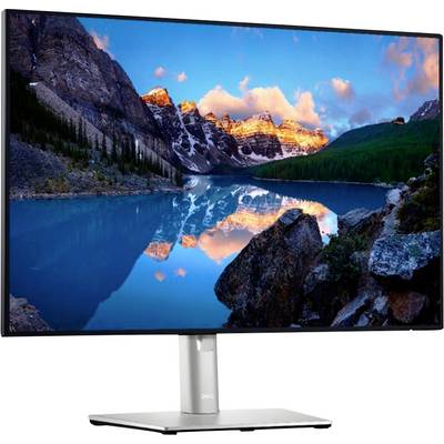 Dell U2421E LED EEC E (A - G) 61.2 cm (24.1 inch) 1920 x 1200 p 16:10 8 ms DisplayPort, HDMI™, USB C®, USB A (USB 3.2 1s-4