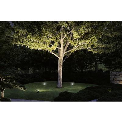A large tree, illuminated at night, stands on a lawn with surrounding bushes. Three ground-mounted spotlights highlight the tree.
