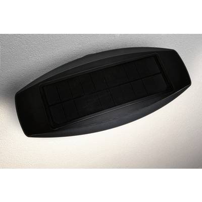 A dark, oval solar panel mounted on a wall, serving to generate energy through sunlight.