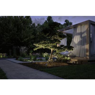 A illuminated Japanese garden in the evening with a well-maintained bonsai in the foreground and a modern pavilion in the background.