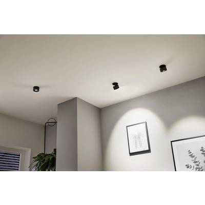 Several black LED ceiling spotlights illuminate a modern, minimalist living room corner with a plant and framed artwork on the wall.