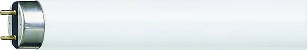 Philips LED Fluorescent tube EEC: G (A - G) G13 58.5 W Neutral white Tube shape (Ø x L) 26 mm x 1500 mm 10 pc(s)