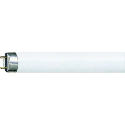 Philips LED Fluorescent tube EEC: G (A - G) G13 58.5 W Neutral white Tube shape (Ø x L) 26 mm x 1500 mm 10 pc(s)