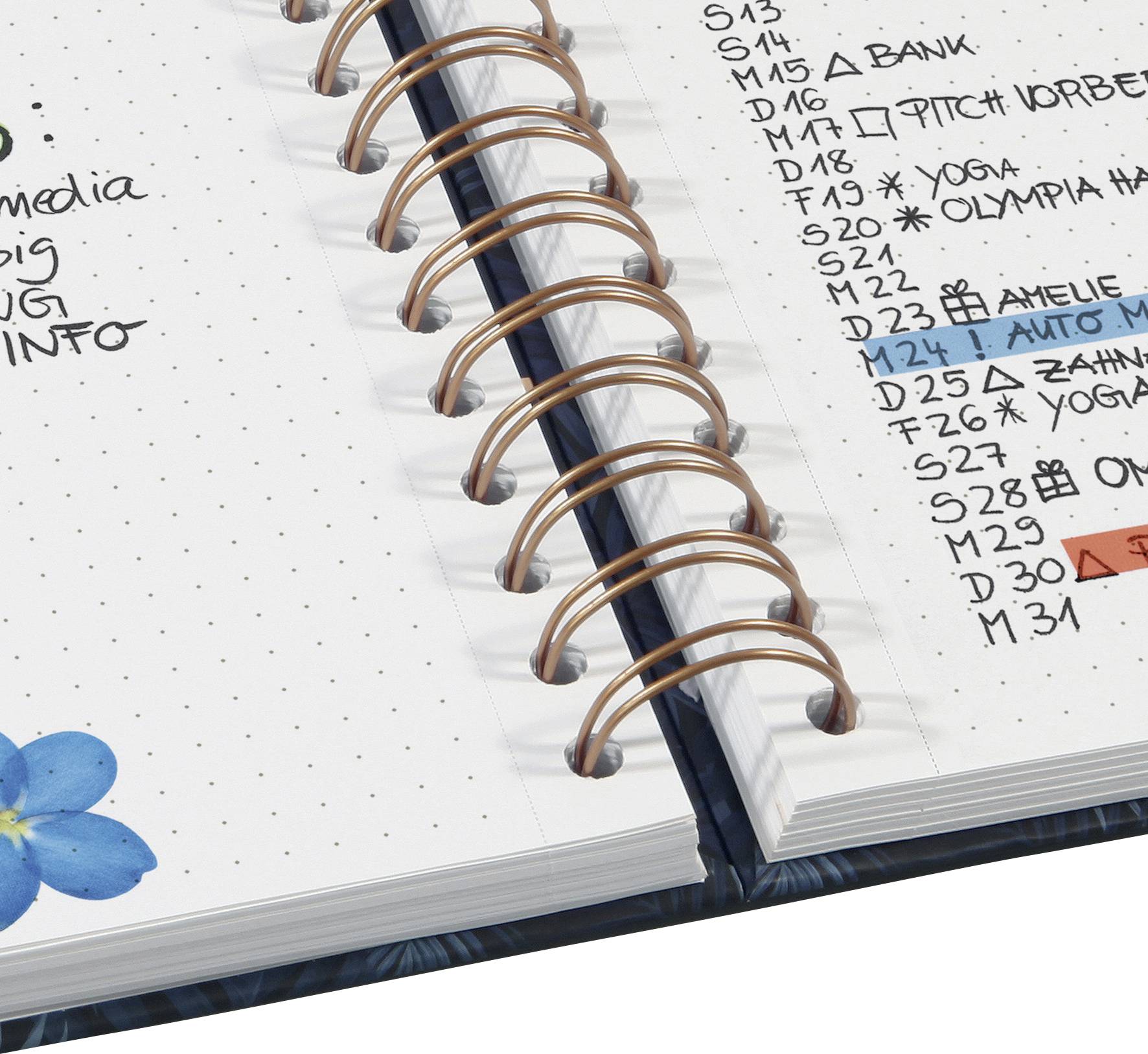 Sigel Jolie® botanical inspirations JN605 Spiral-bound notepad Dotted White, Black, Brown No. of sheets: 100 A5-5