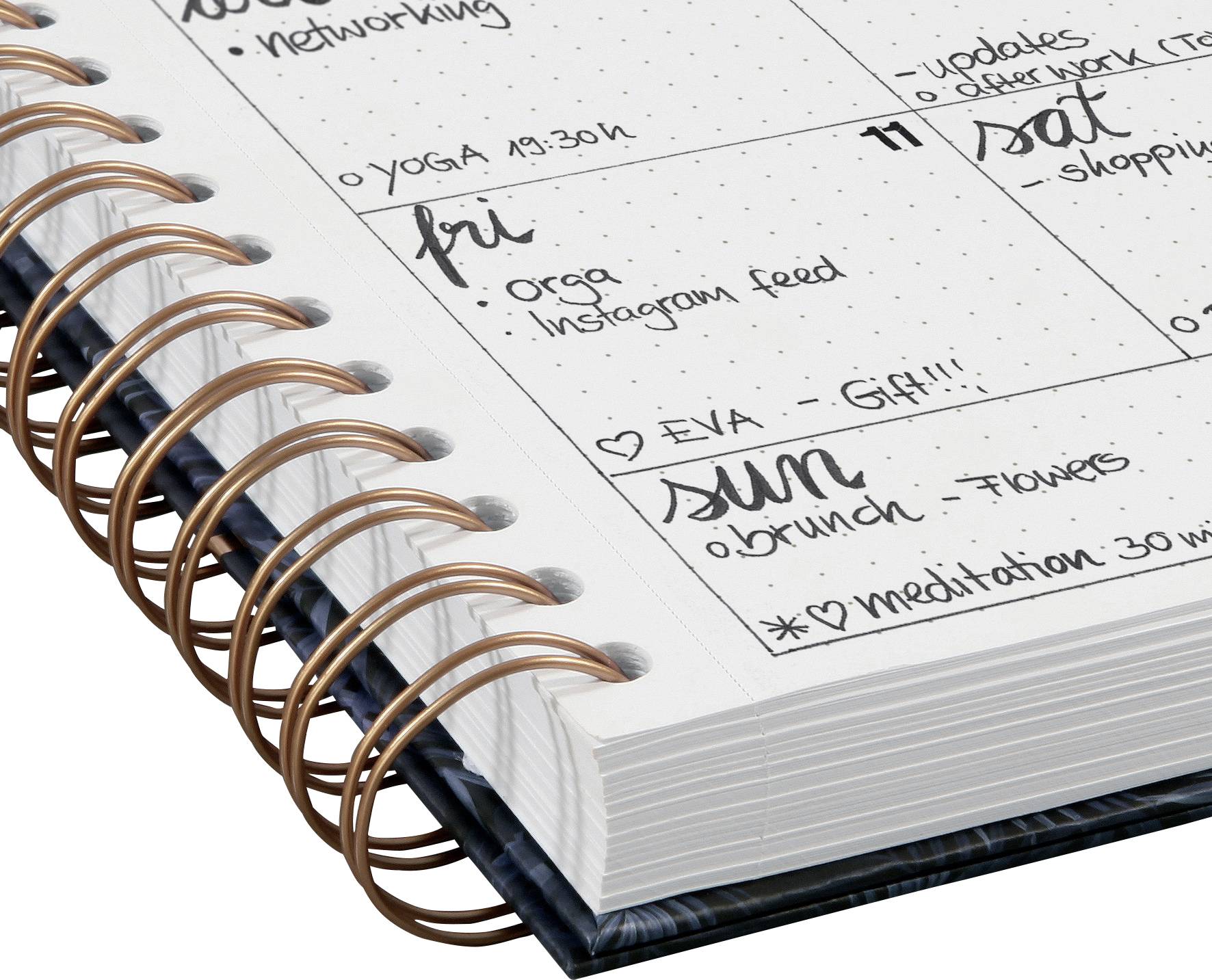 Sigel Jolie® botanical inspirations JN605 Spiral-bound notepad Dotted White, Black, Brown No. of sheets: 100 A5-10