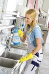 Pressure sprayer CleanMaster CM 12 - 1.25 l cleaning cleaner