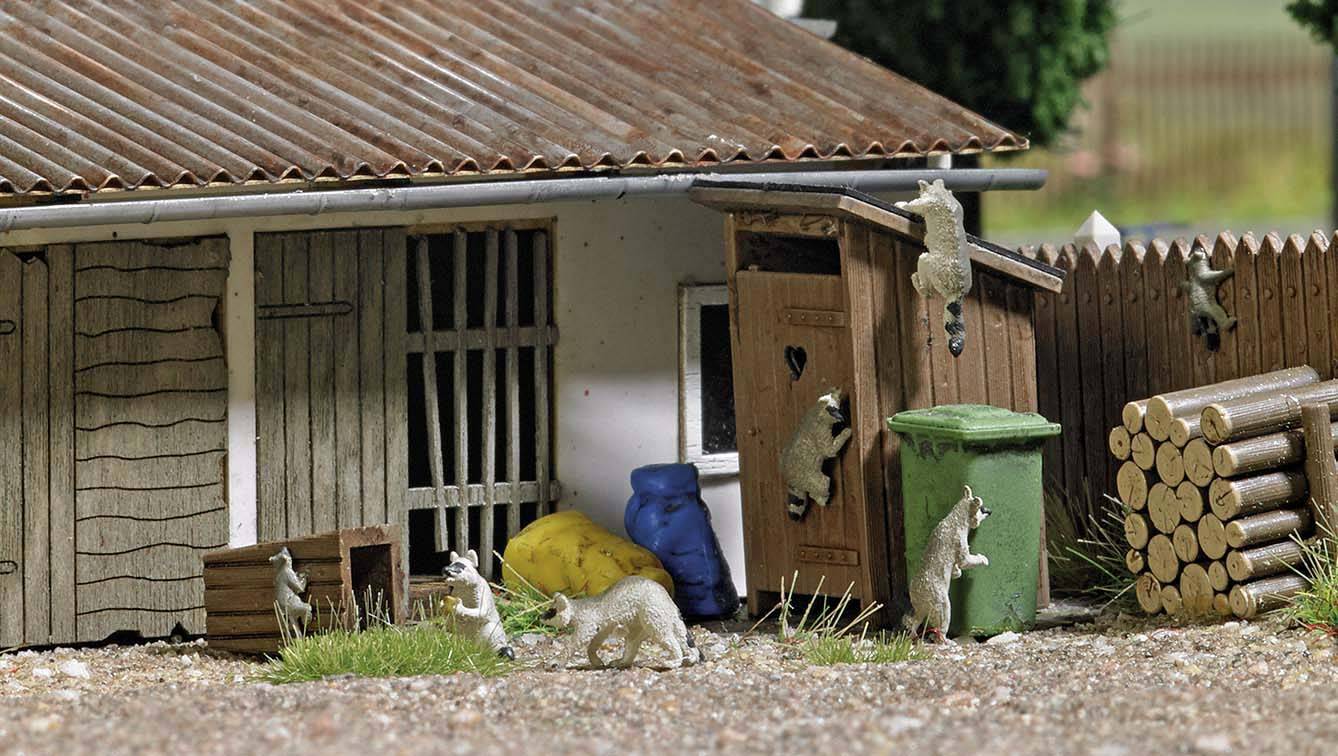 A group of raccoons explores the surroundings of a shed with dustbins and wood piles. Some are climbing walls.