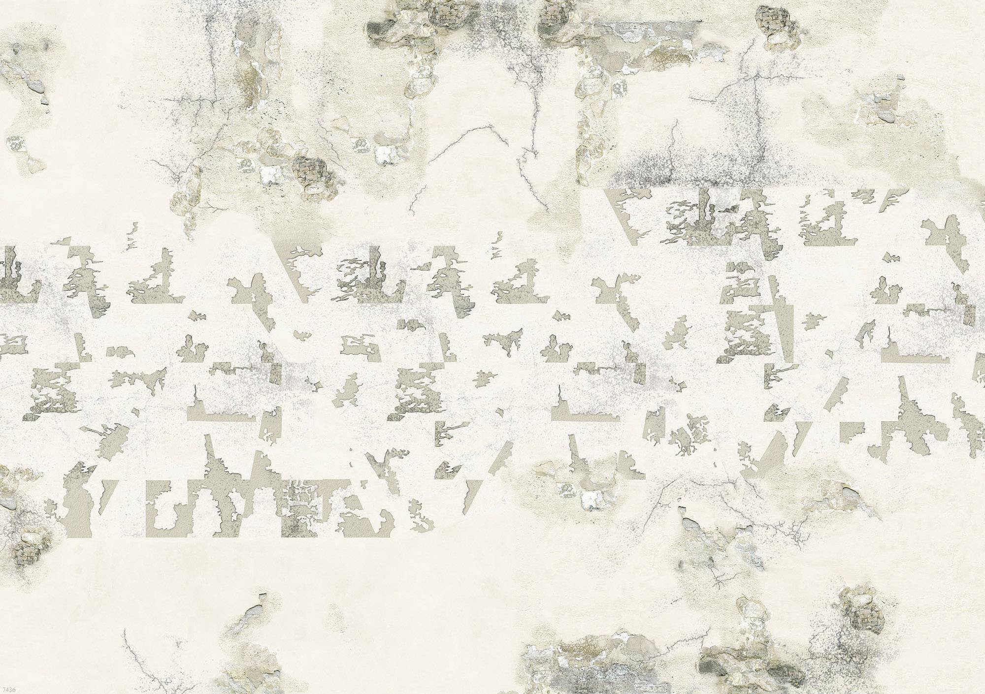 Weathered, peeling wall with cracks and discoloured patches in shades of grey and beige. Texture reveals age and wear.