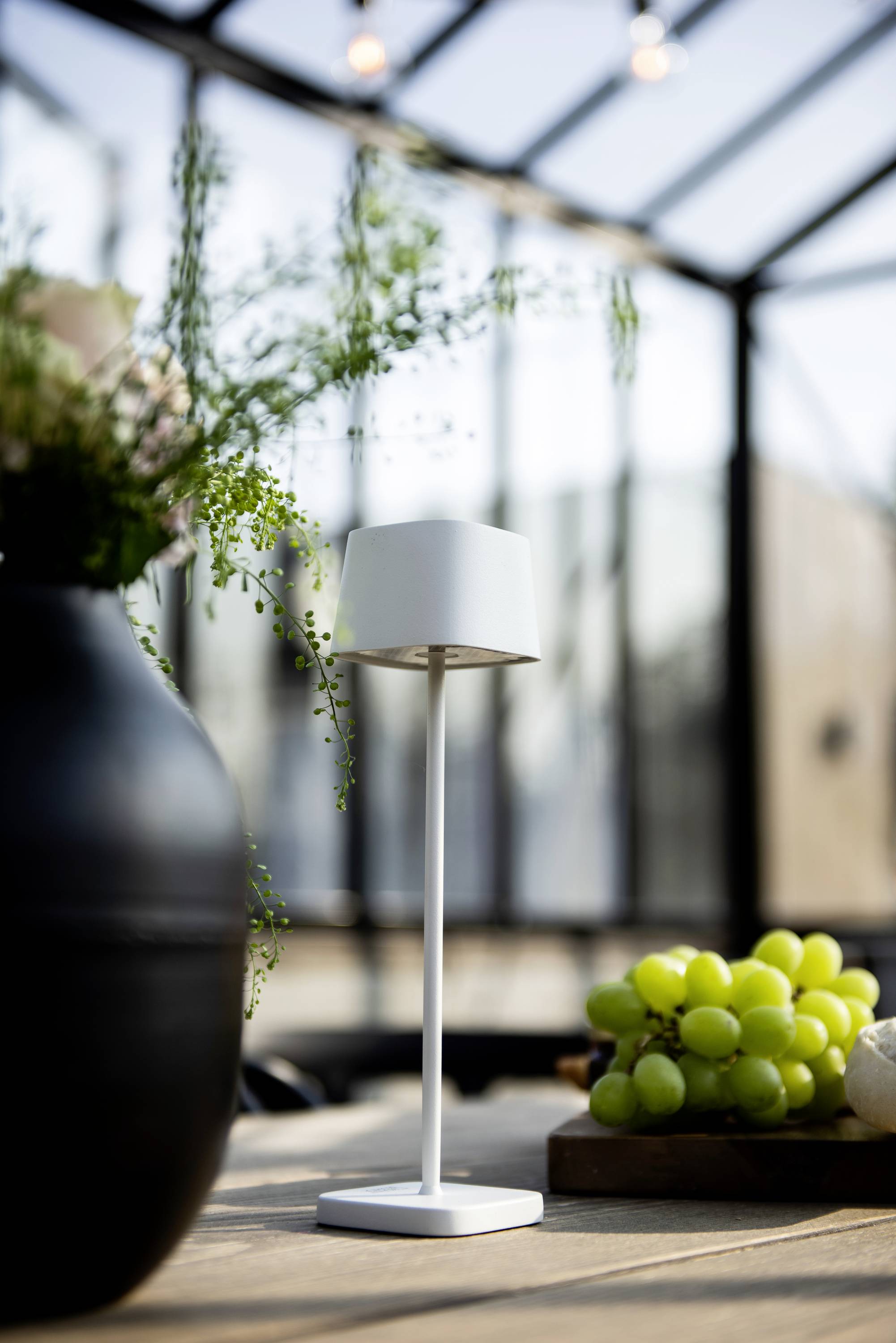 A minimalist white table lamp sits on a wooden table, surrounded by a black plant pot and a tray of green grapes.
