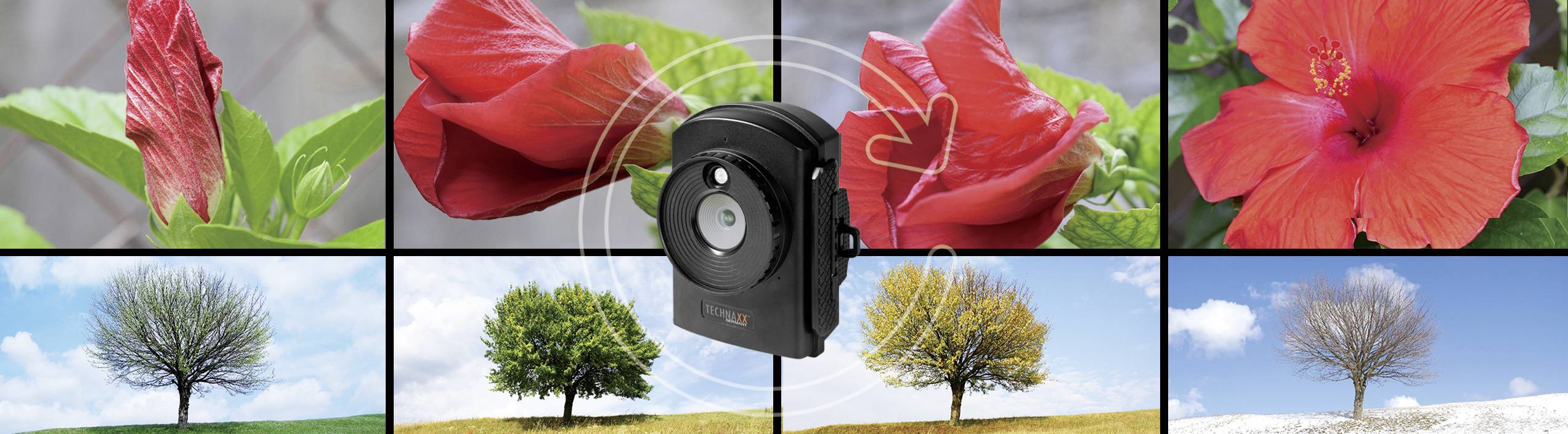 A collage shows red hibiscus flowers in the upper section and trees through the four seasons in the lower section. A camera is positioned in the centre.